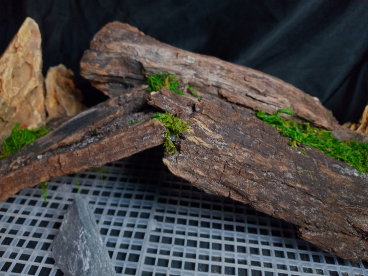 Mopani Grotto- 20 Gal pre-made Vivarium Scape
