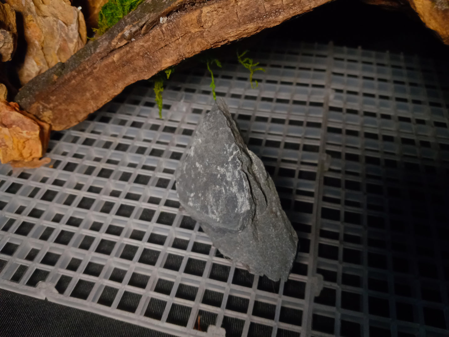 Mopani Grotto- 20 Gal pre-made Vivarium Scape
