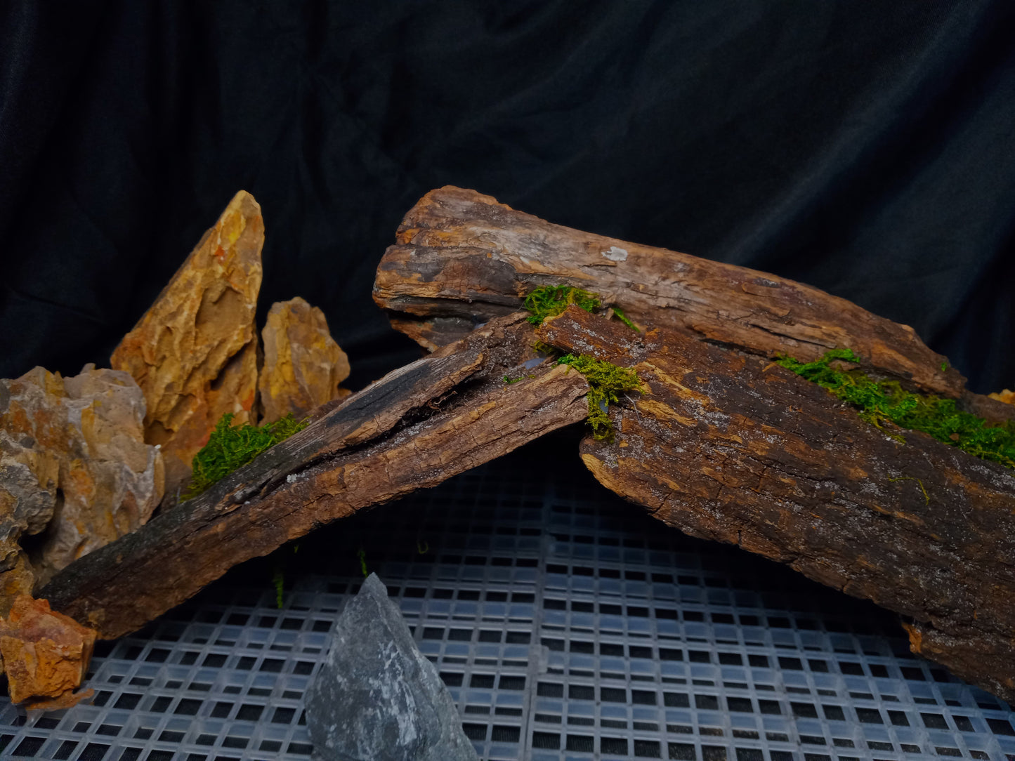 Mopani Grotto- 20 Gal pre-made Vivarium Scape