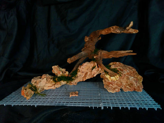 Dragon's Root-10 Gal pre-made Aquascape