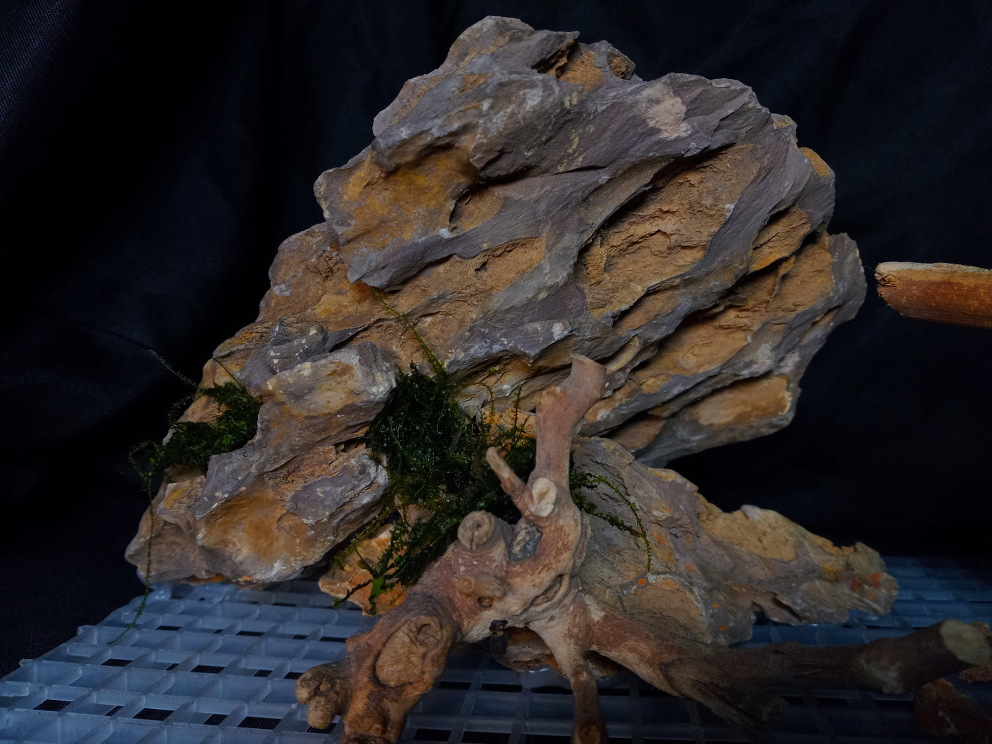 Ember Ridge 10 Gal pre-made Aquascape