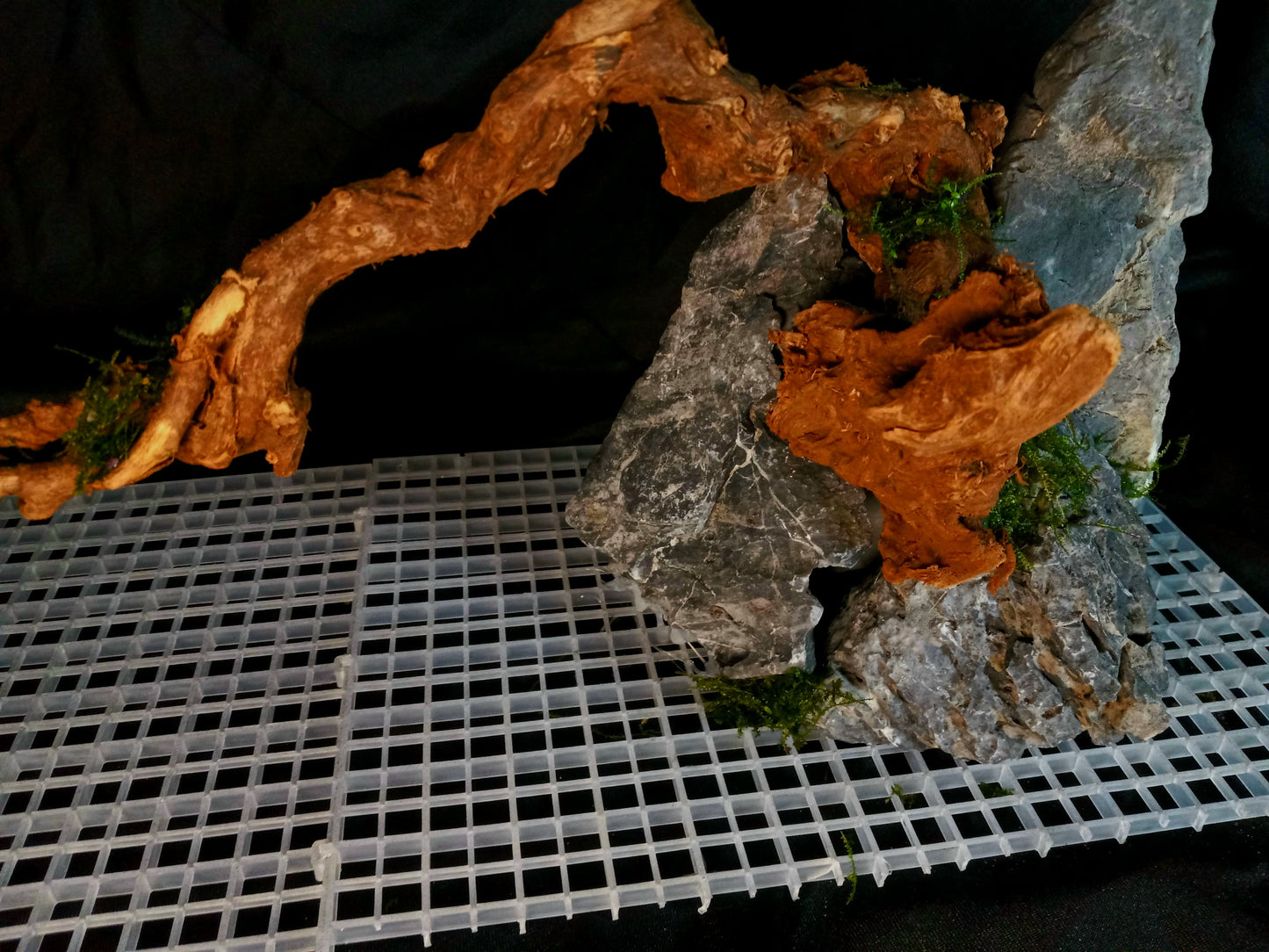 Drifting Arch-10 Gal pre-made Aquascape