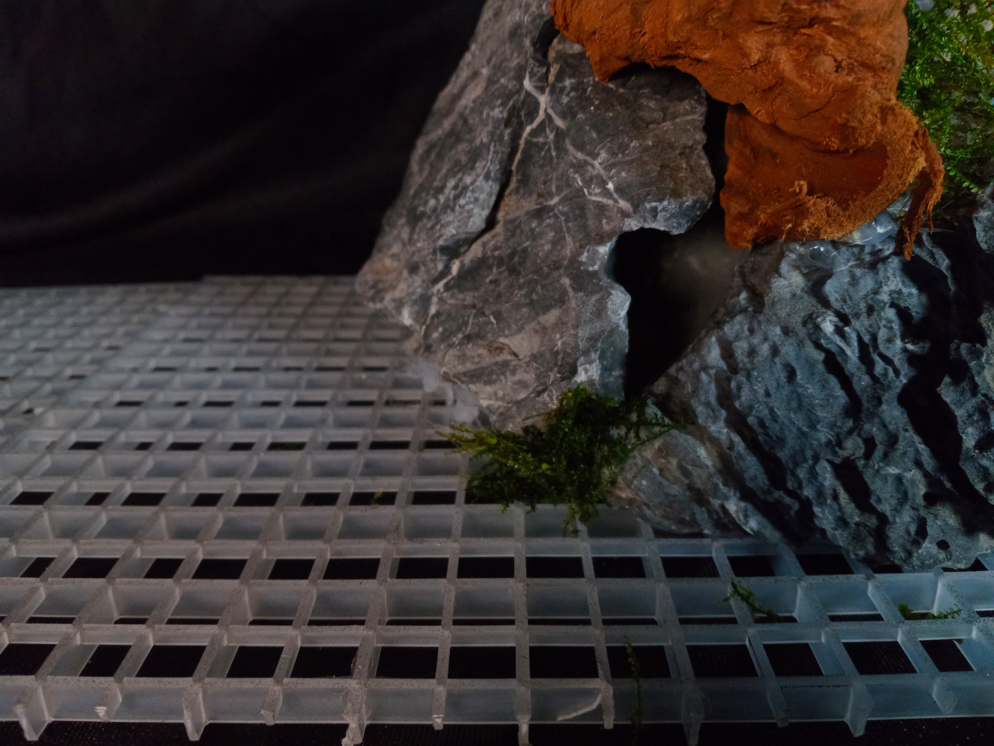 Drifting Arch-10 Gal pre-made Aquascape