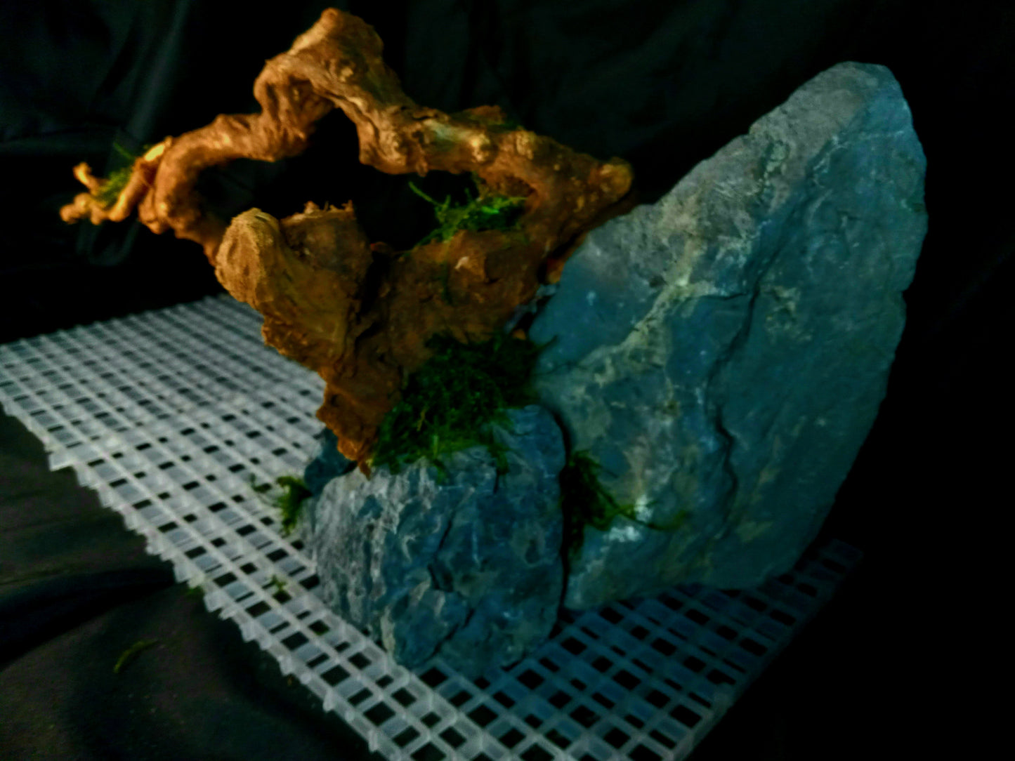 Drifting Arch-10 Gal pre-made Aquascape