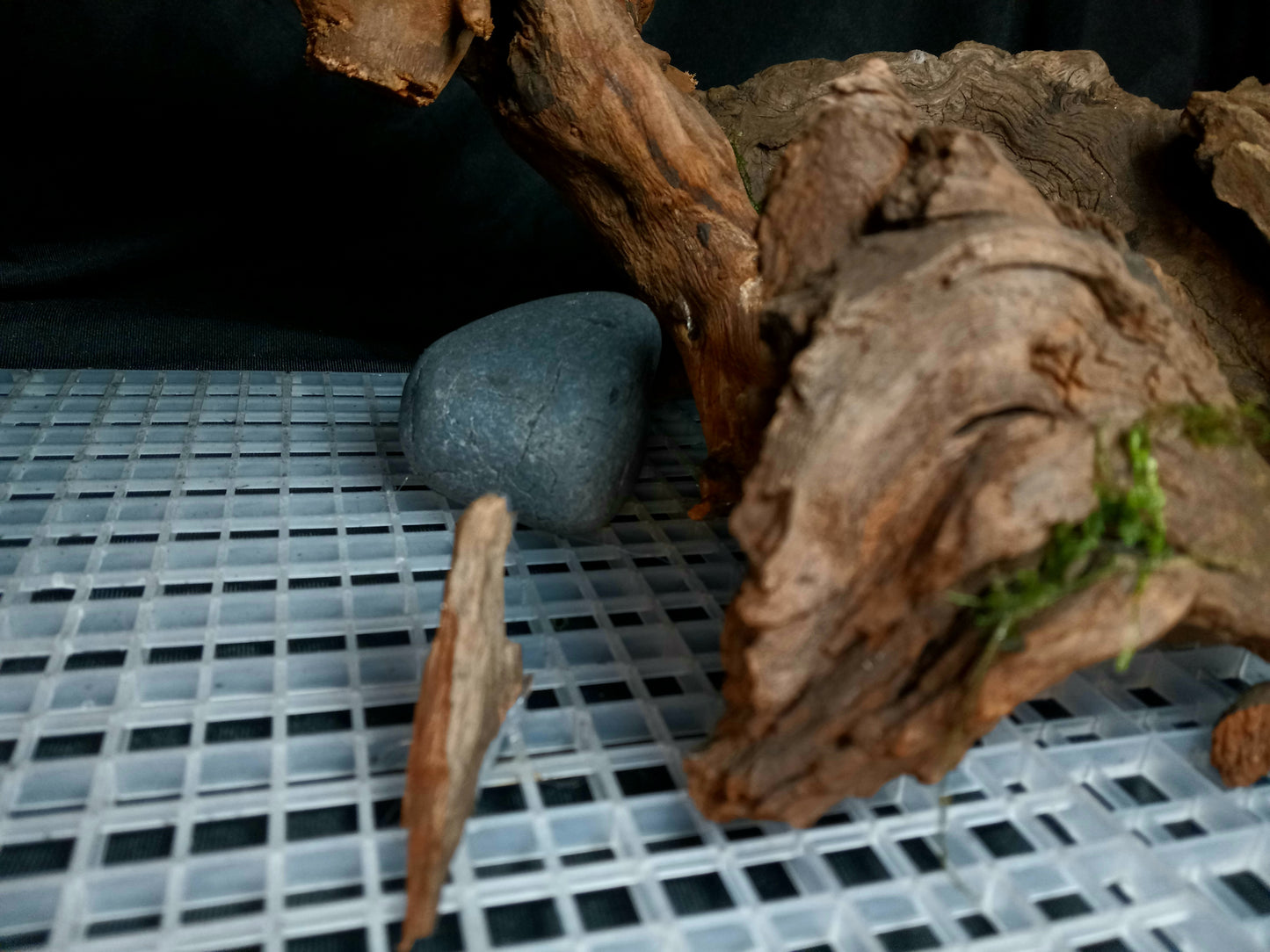 Timber Arc- 20 Gal pre-made Aquascape