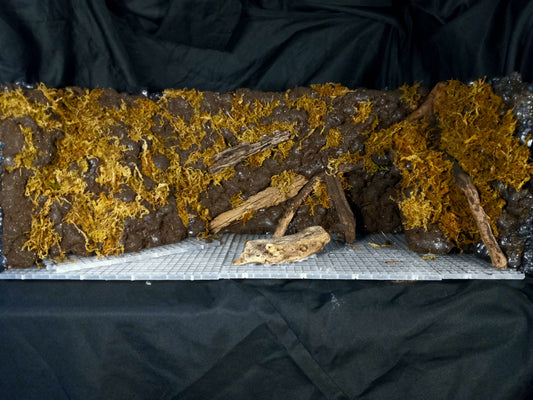 Mosswood Cavern (Background Included)- 20 Gal pre-made Vivarium Scape