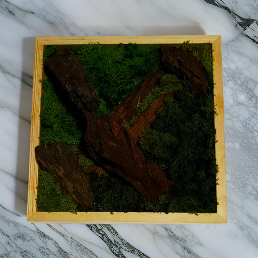 Wood Arch Moss Wall