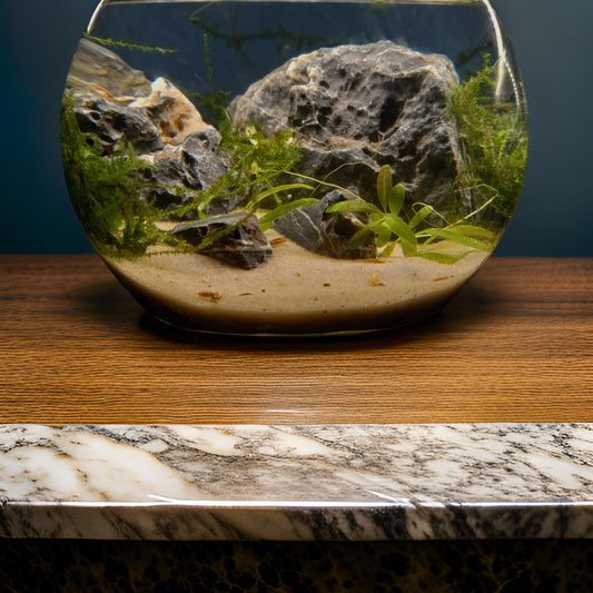Java Ecosphere