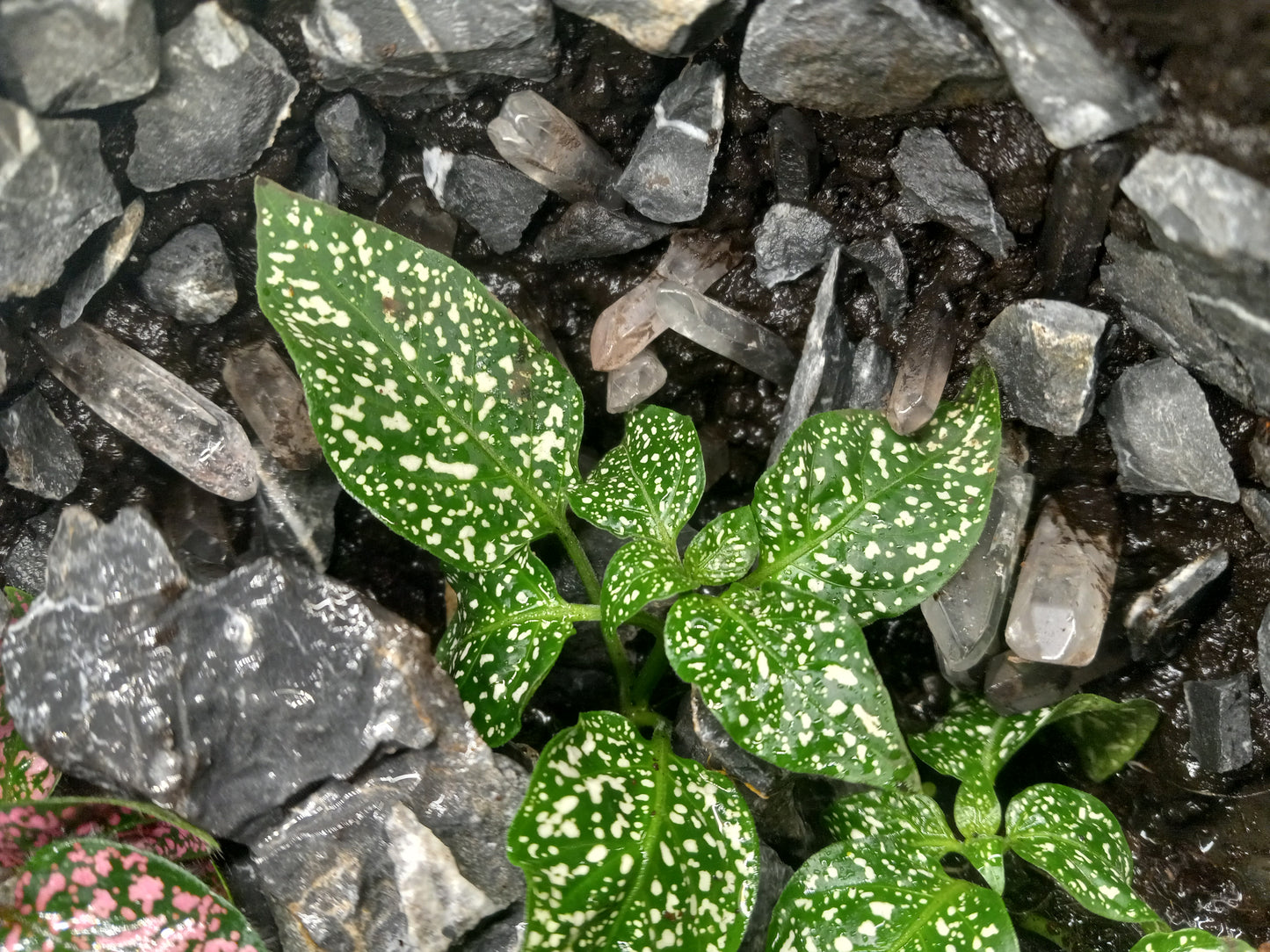 Quartz Cavern