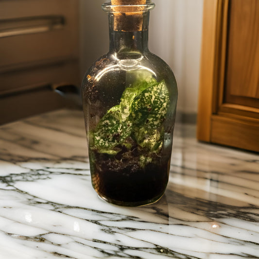 Plants in a Bottle