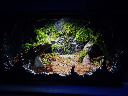 Lascaux- Full Pre-made 10 Gal Vivarium Scape (Tank Included)