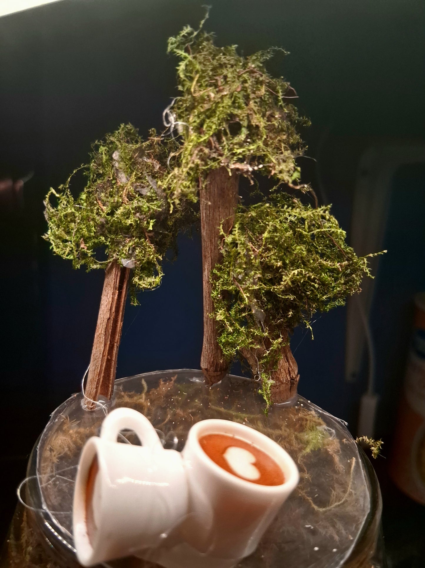 Forêt Intime