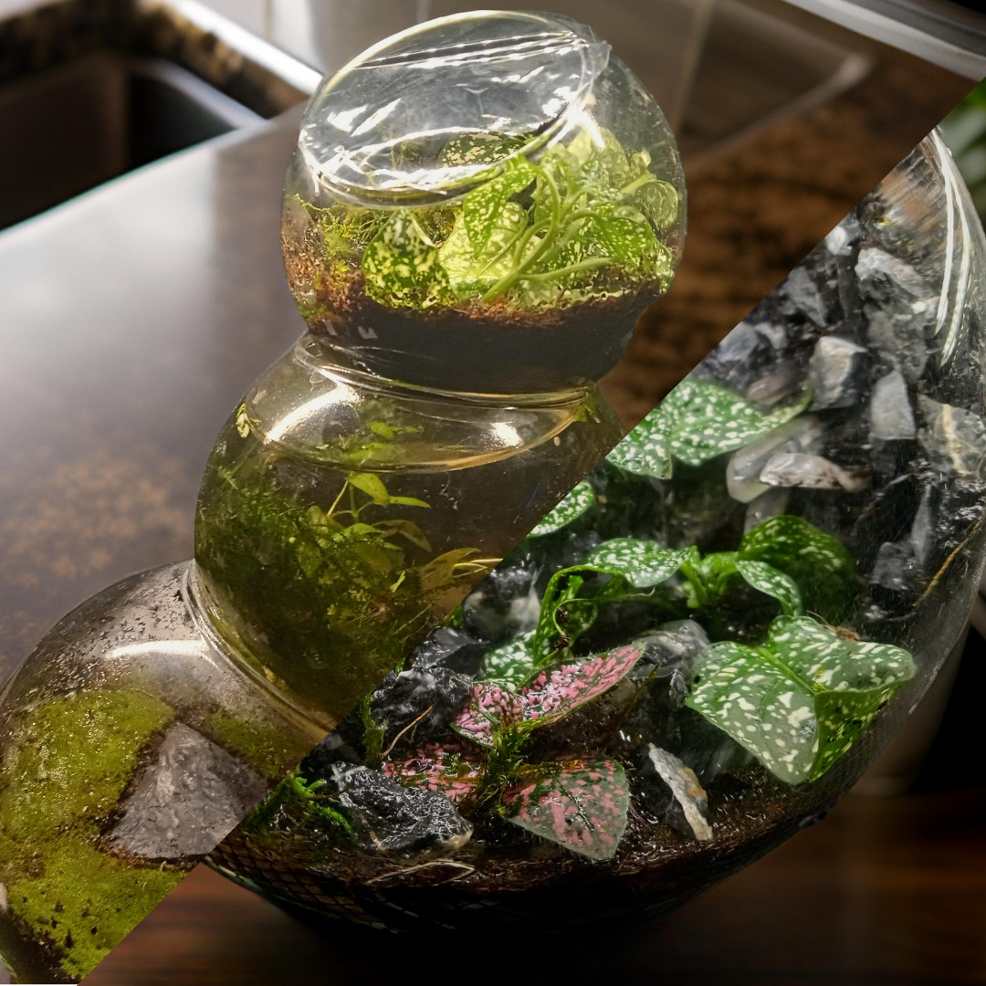 The flagship bundle: The Bubbliarium + Quartz Cavern