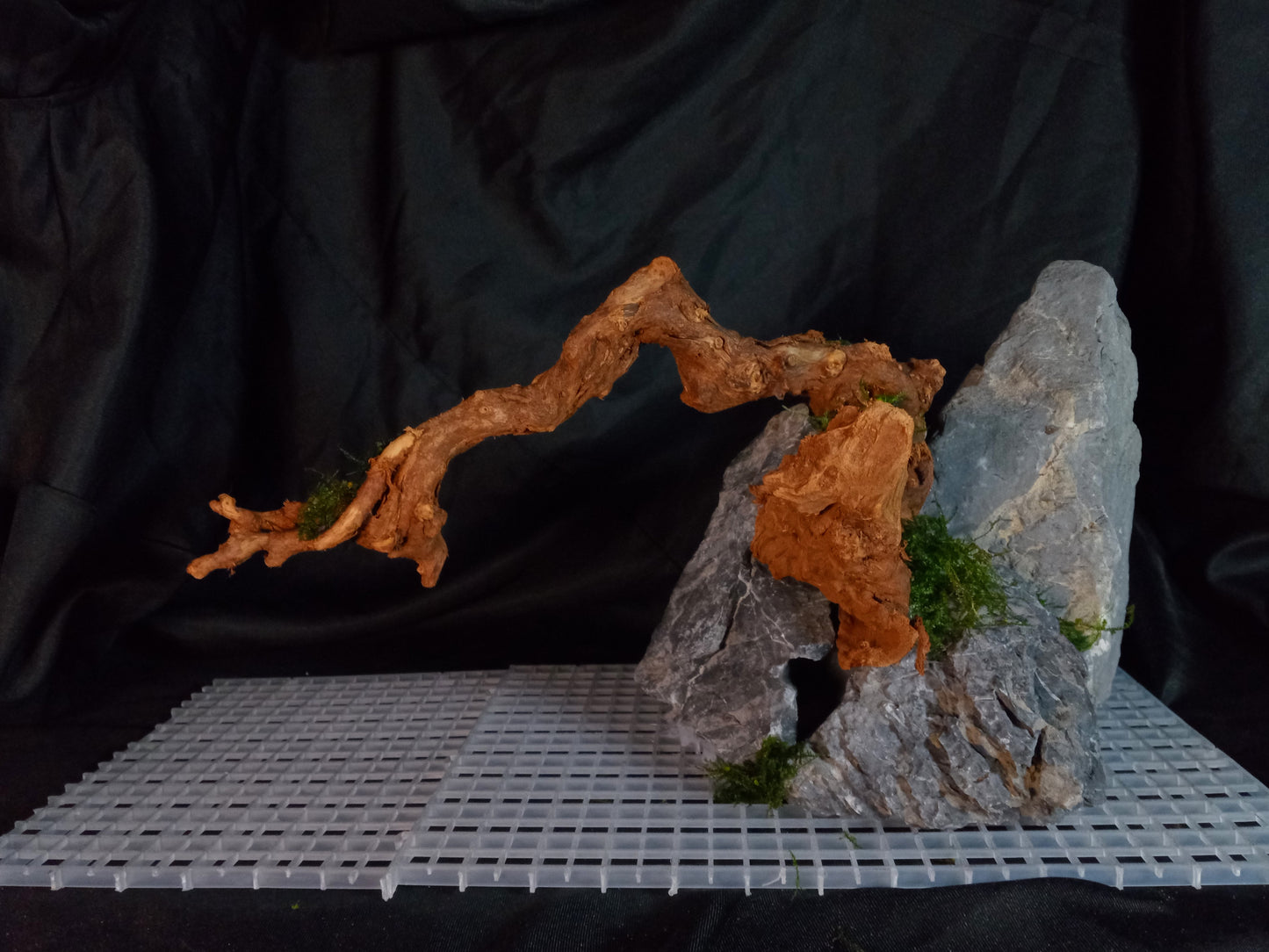 Drifting Arch-10 Gal pre-made Aquascape